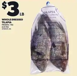 Loblaws Whole dressed tilapia offer