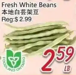 Foody Mart Fresh White Beans offer