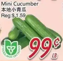 Foody Mart Mini Cucumber offer