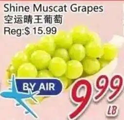Foody Mart Shine Muscat Grapes offer