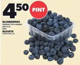 Independent Grocer Blueberries offer