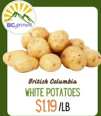 White Potatoes