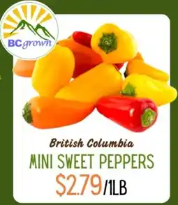 Quality Greens Mini Sweet Peppers offer