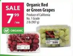 Co-op Organic Red or Green Grapes offer