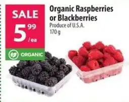 Co-op Organic Raspberries or Blackberries offer
