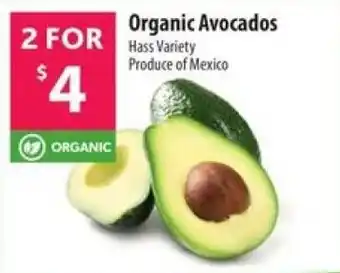 Organic Avocados