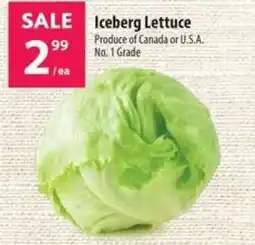 Co-op Iceberg Lettuce offer