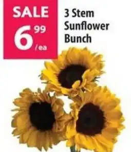 Co-op 3 stem sunflower bunch offer