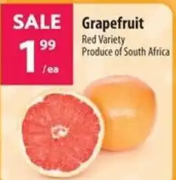 Co-op Grapefruit Red Variety offer
