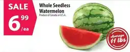 Co-op Whole Seedless Watermelon offer