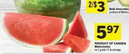 Co-op Watermelon offer