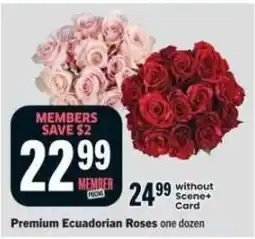 Co-op Premium Ecuadorian Roses offer