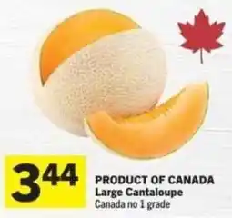 Co-op Large Cantaloupe offer