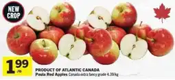 Co-op Paula Red Apples offer