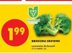 No Frills BROCCOLI CROWNS offer