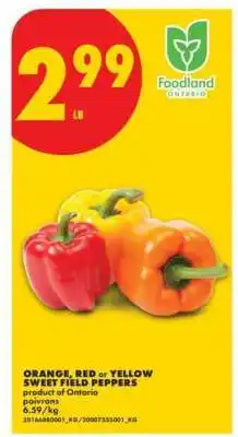 No Frills ORANGE, RED or YELLOW SWEET FIELD PEPPERS offer