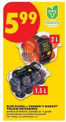 No Frills Blue Plums or Farmer's Market Yellow Nectarines offer