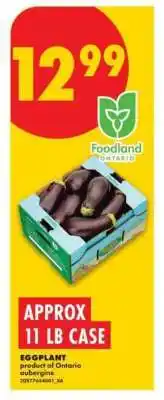 No Frills EGGPLANT offer