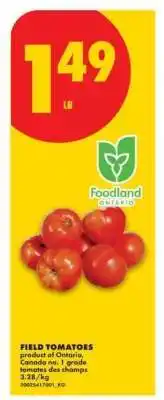 No Frills FIELD TOMATOES offer