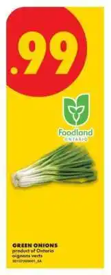 No Frills Green Onions offer