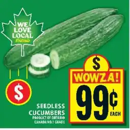 Food Basics SEEDLESS CUCUMBERS offer