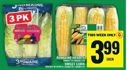 Food Basics Romaine Hearts & Sweet Corn offer