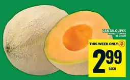 Food Basics Cantaloupes offer