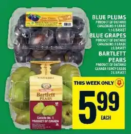 Food Basics Blue Plums, Blue Grapes, Bartlett Pears offer