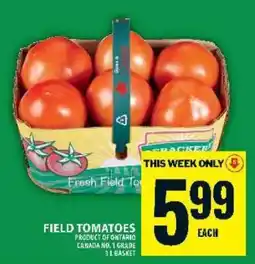 Food Basics FIELD TOMATOES offer