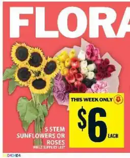 Food Basics 5 Stem Sunflowers or Roses offer