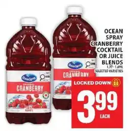 Food Basics OCEAN SPRAY CRANBERRY COCKTAIL OR JUICE BLENDS offer