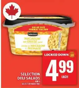 Food Basics Selection Deli Salads offer