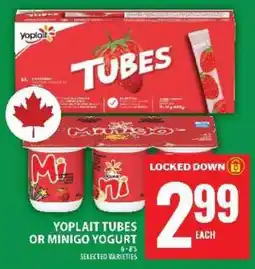 Food Basics YOPLAIT TUBES OR MINIGO YOGURT offer