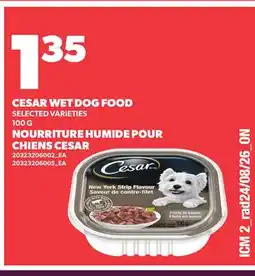 Independent City Market CESAR WET DOG FOOD offer
