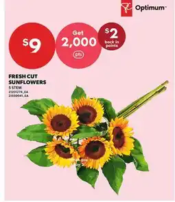 Independent City Market FRESH CUT SUNFLOWERS, 5 STEM offer