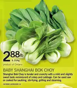 Loblaws Baby Shanghai Bok Choy offer