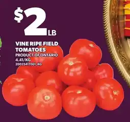 Loblaws vine ripe field tomatoes offer