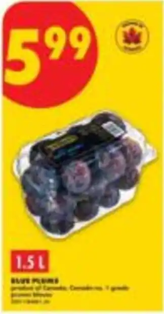 Blue plum