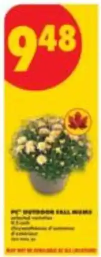 No Frills pc outdoor ball mums offer