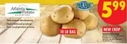 No Frills Atlantic Potato white potatoes offer