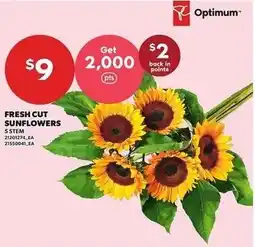 Loblaws Optimum fresh cut sunflowers offer