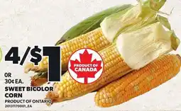 Loblaws Sweet Bicolor Corn offer