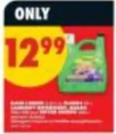 No Frills Gain liquid laundry detergent offer