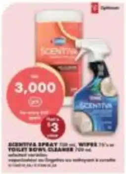 No Frills Scentiva spray toilet bowl cleaner offer