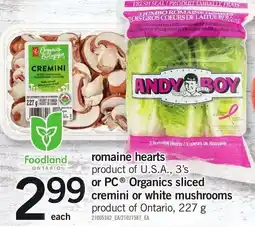 Loblaws andy boy romaine hearts offer