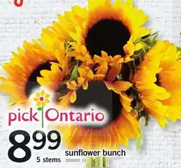 Loblaws Sunflower bunch offer