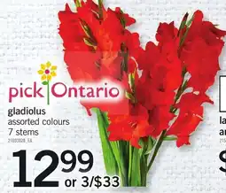 Loblaws pick ontario gladiolus assorted colours offer