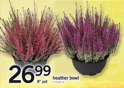 Loblaws heather bowl offer