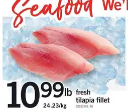 Loblaws fresh tilapia fillet offer