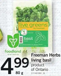 Loblaws Freeman Herbs living basil offer